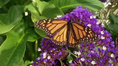 Paradox   Official Trailer [HD]   Netflix 298.jpg