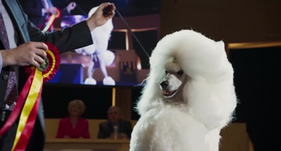 Show Dogs   Official Trailer [HD]   Global Road Entertainment 183.jpg