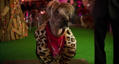 Show Dogs   Official Trailer [HD]   Global Road Entertainment 190.jpg