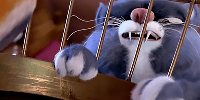 Flying the Nest Cat.png