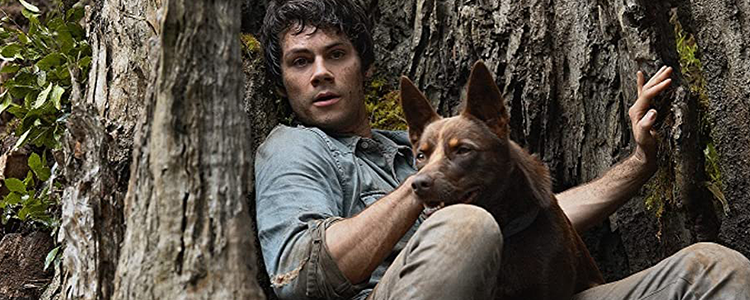 Love and Monsters Image