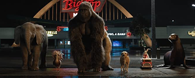 The One and Only Ivan Image