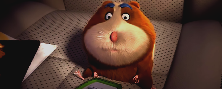 Animal Crackers Guinea Pig