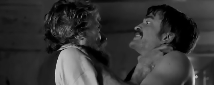 The Lighthouse Image