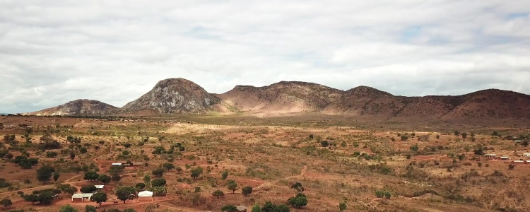 The Ants and the Grasshopper (2021)