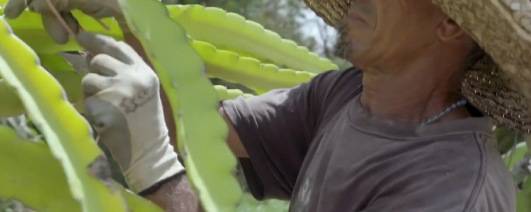 You Think The Earth Is A Dead Thing