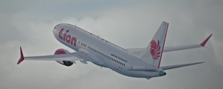 Downfall: The Case Against Boeing (2022)