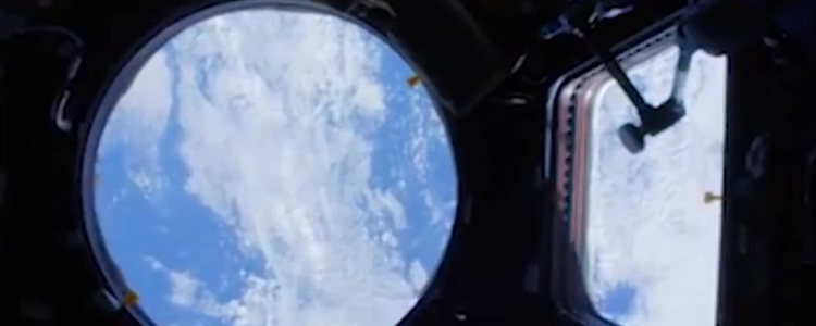 2020: A Covid Odyssey Short Image