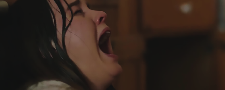 The Beach House Image