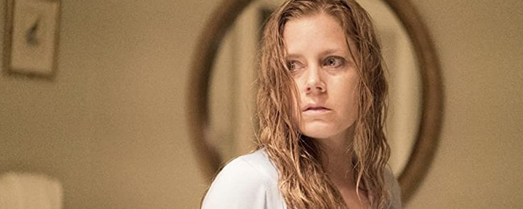 The Woman In The Window Image