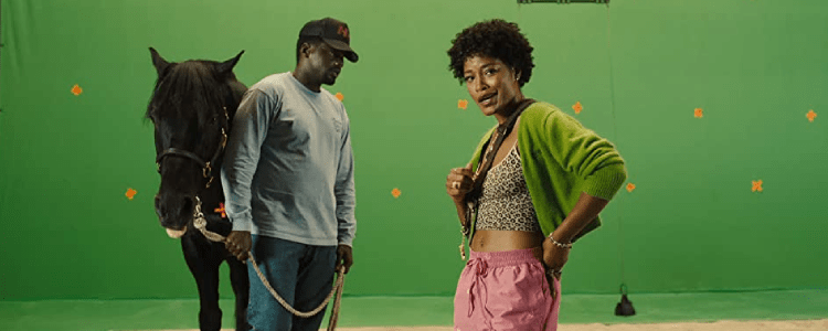 Nope (2022) - Daniel Kaluuya, Keke Palmer