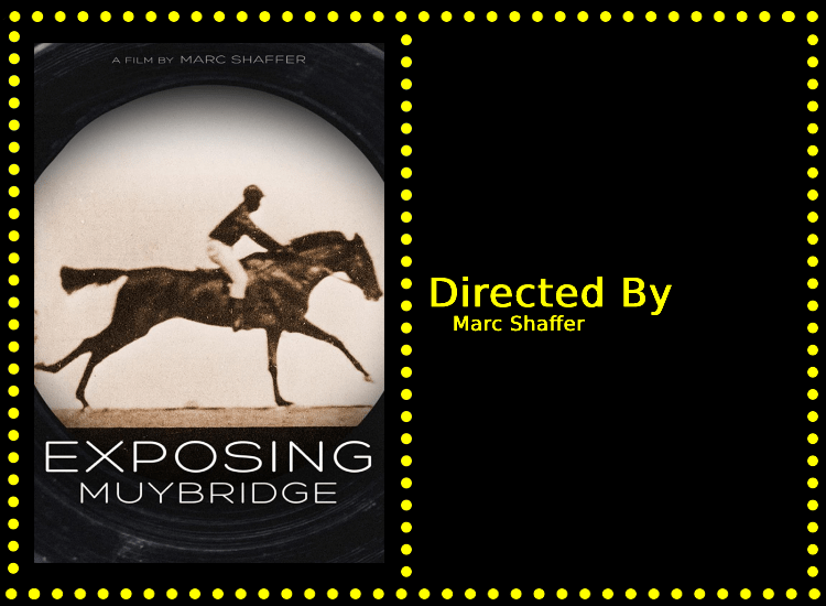 Exposing Muybridge Info